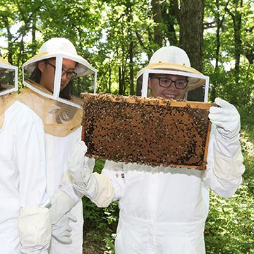 students in beekeeper uniforms hold honeycombs covered in live bees