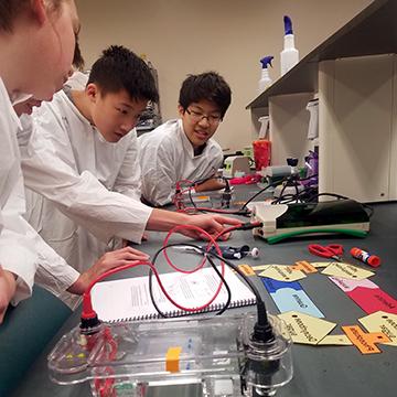 four students perform an experiment for DNA camp
